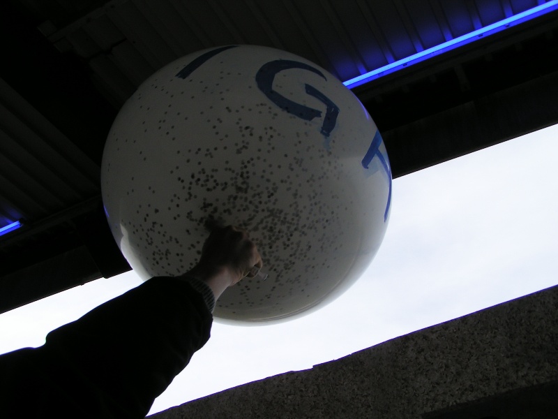 lotte12032011_130.jpg