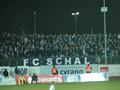 schalke18032011_045.jpg