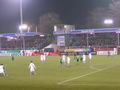 schalke18032011_092.jpg