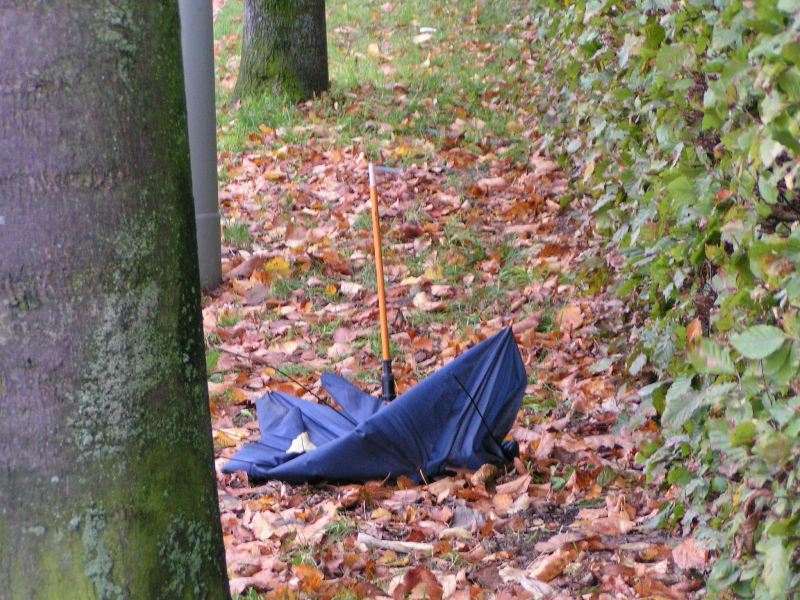 wiedenbrueck16102010_128.jpg