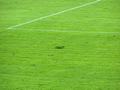 aalen13092011_125.jpg