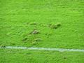 aalen13092011_126.jpg