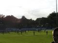babelsberg17082011_001.jpg