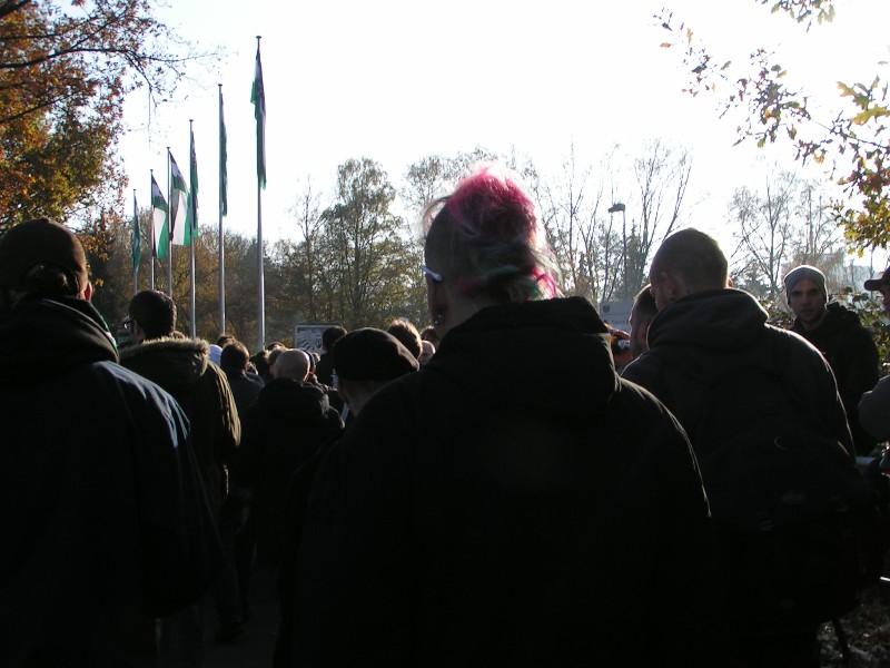 pict5231.jpg