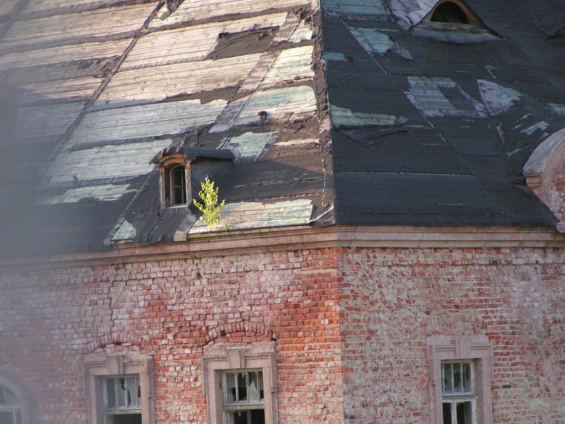 chemnitz02082011_073.jpg