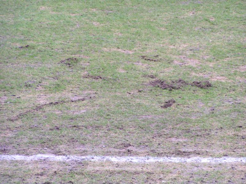 darmstadt10032012_083.jpg