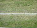 darmstadt10032012_020.jpg