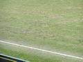 darmstadt10032012_021.jpg