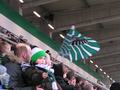 darmstadt10032012_079.jpg