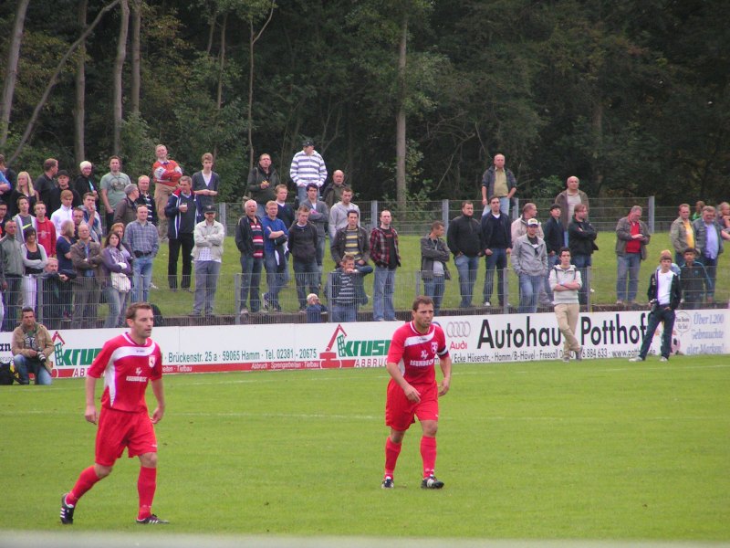 hamm31082011_011.jpg