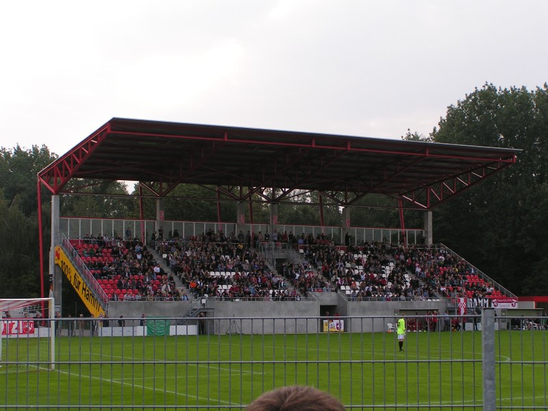 hamm31082011_016.jpg