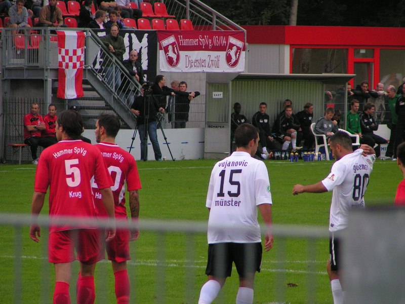 hamm31082011_022.jpg