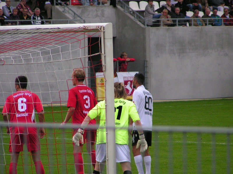 hamm31082011_024.jpg