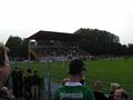 hamm31082011_006.jpg