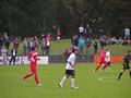 hamm31082011_012.jpg