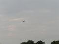 hamm31082011_021.jpg
