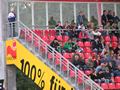 hamm31082011_047.jpg