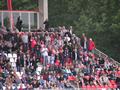 hamm31082011_053.jpg