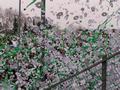 osnabrueck03042012_024.jpg