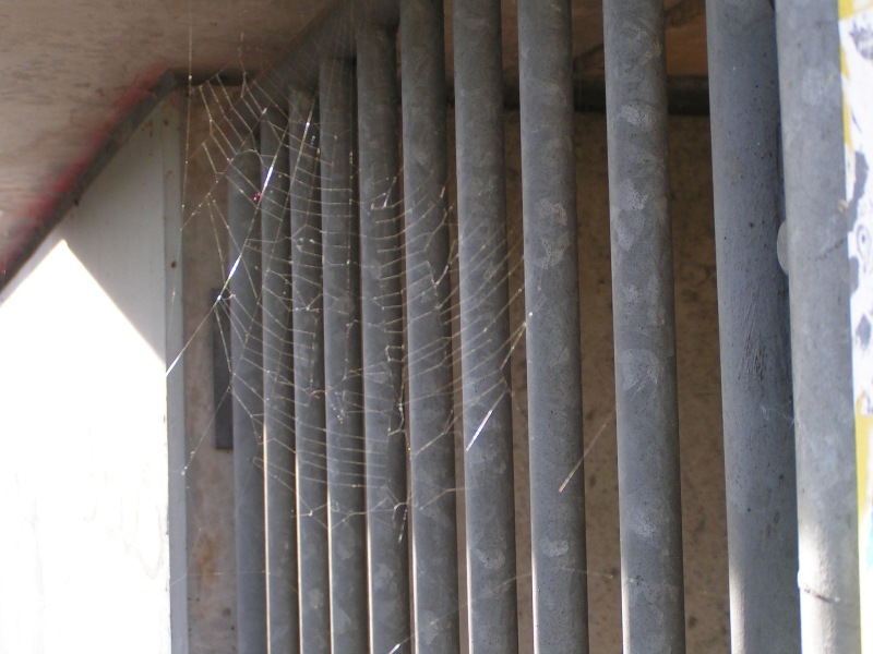 saarbruecken098.jpg