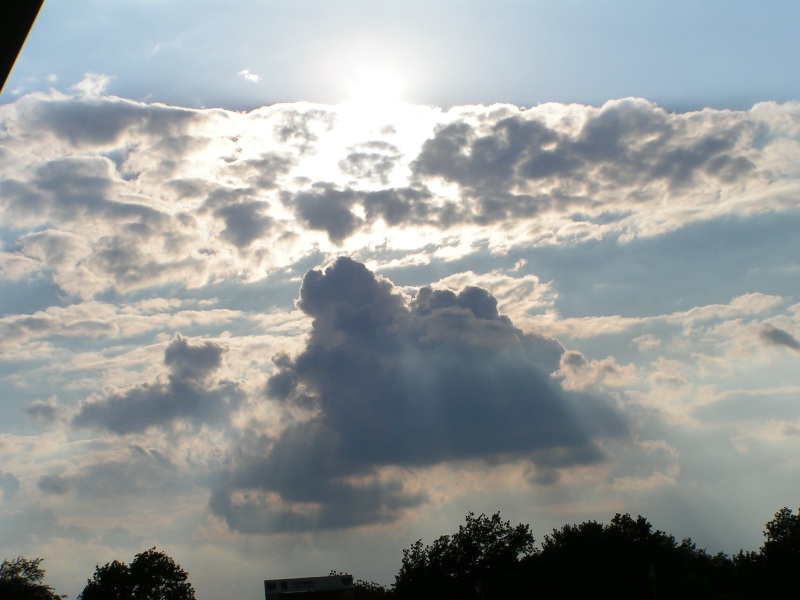 rostock08082012_028.jpg