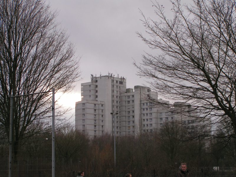training02012013_005.jpg