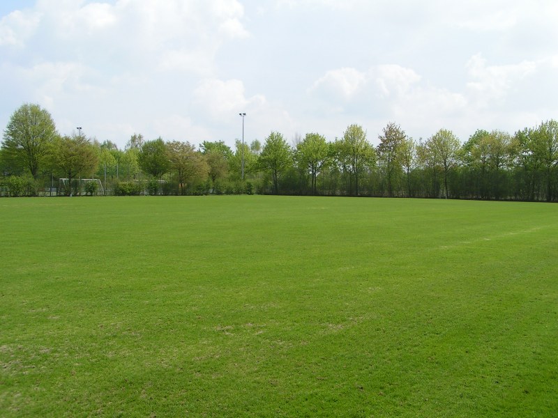training03052013_000.jpg