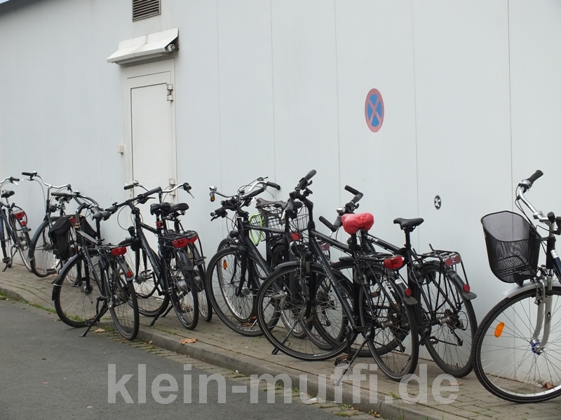augsburg24092013_005.jpg