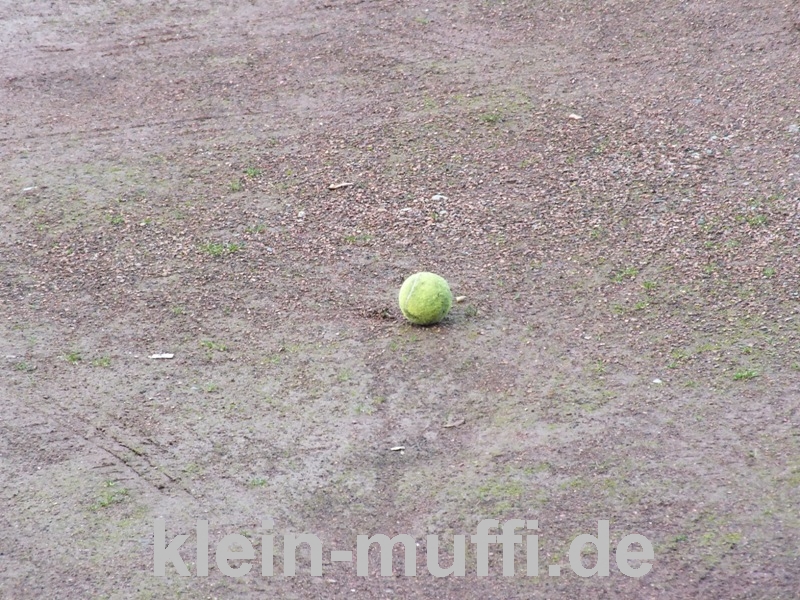 dortmund_186.jpg