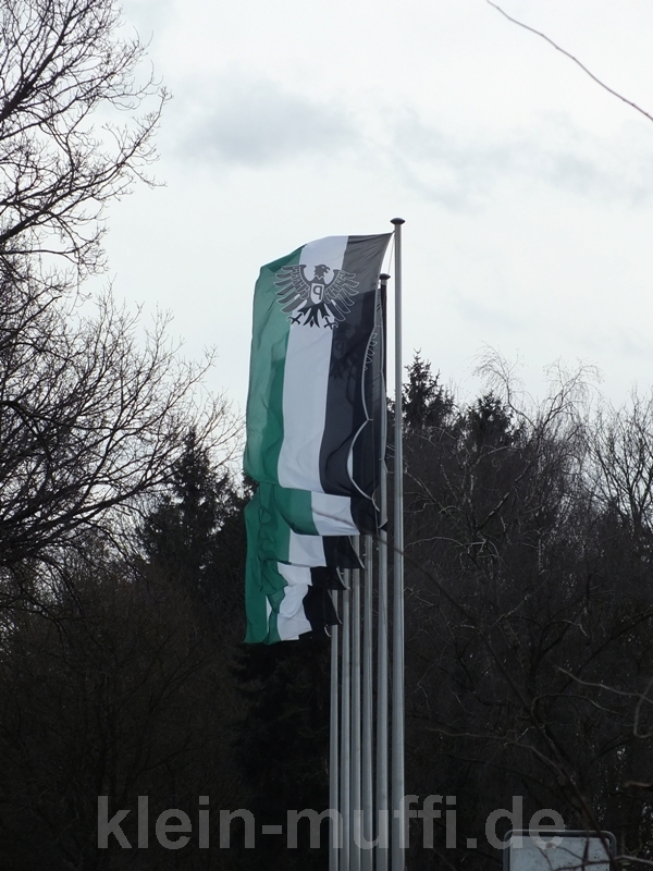 elversberg_15022014_003.jpg