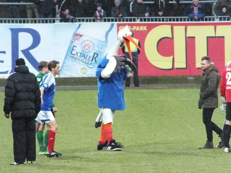 kiel_08022014_125.jpg