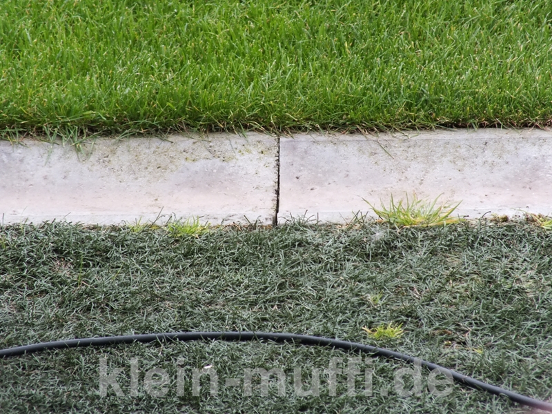 kiel24082013_011.jpg