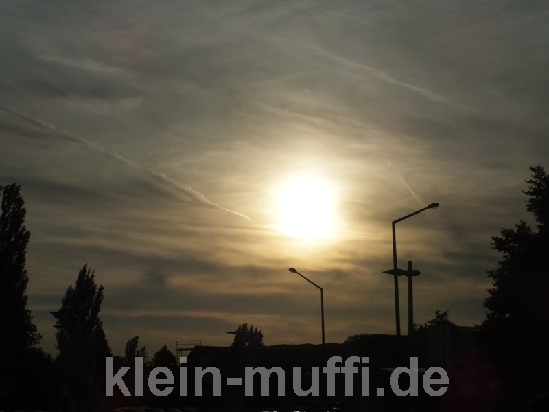 osnabrueck_053.jpg