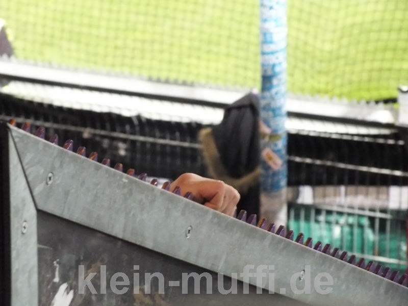 osnabrueck_108.jpg