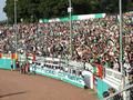 pauli04082013_059.jpg