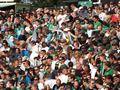 pauli04082013_087.jpg