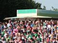 pauli04082013_097.jpg