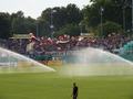 pauli04082013_103.jpg