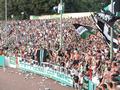 pauli04082013_251.jpg