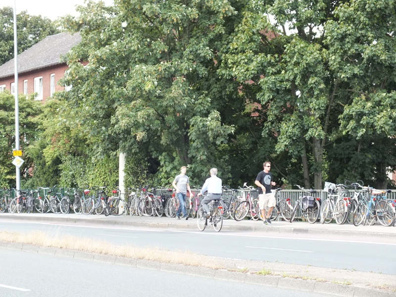pauli04082013_002.jpg