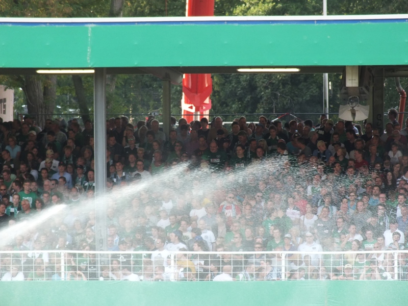 pauli04082013_102.jpg