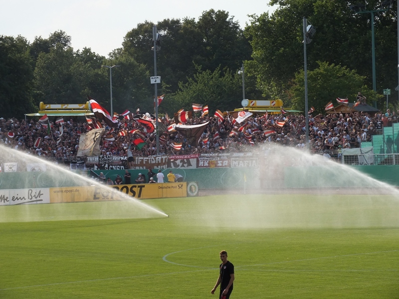 pauli04082013_103.jpg