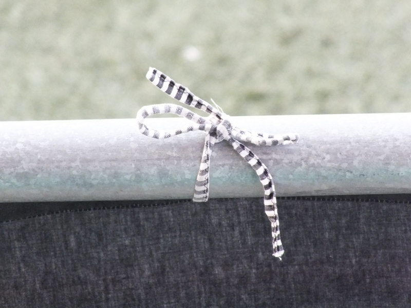 pauli04082013_105.jpg