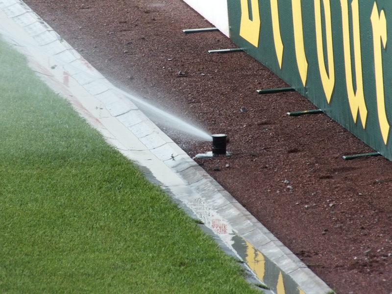 pauli04082013_112.jpg