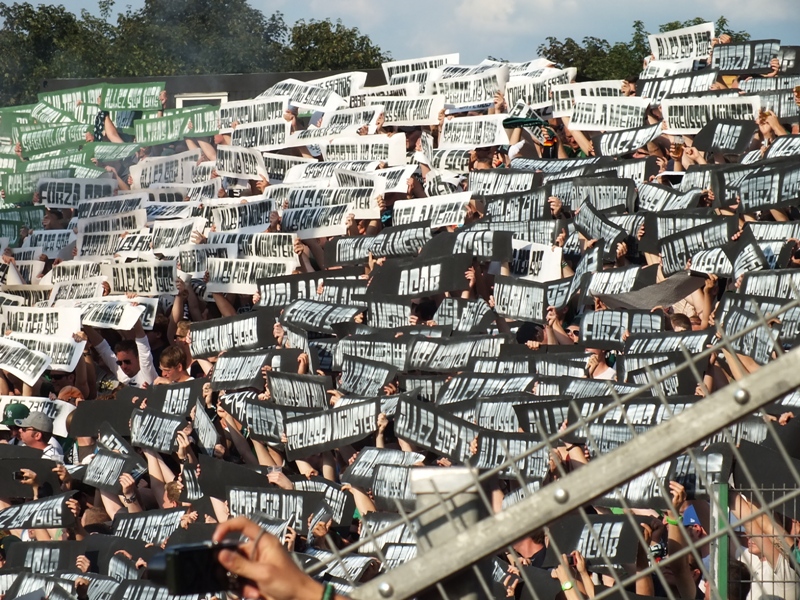 pauli04082013_120.jpg