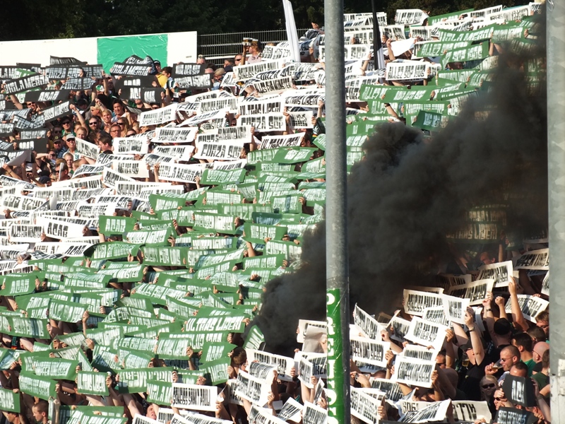 pauli04082013_121.jpg