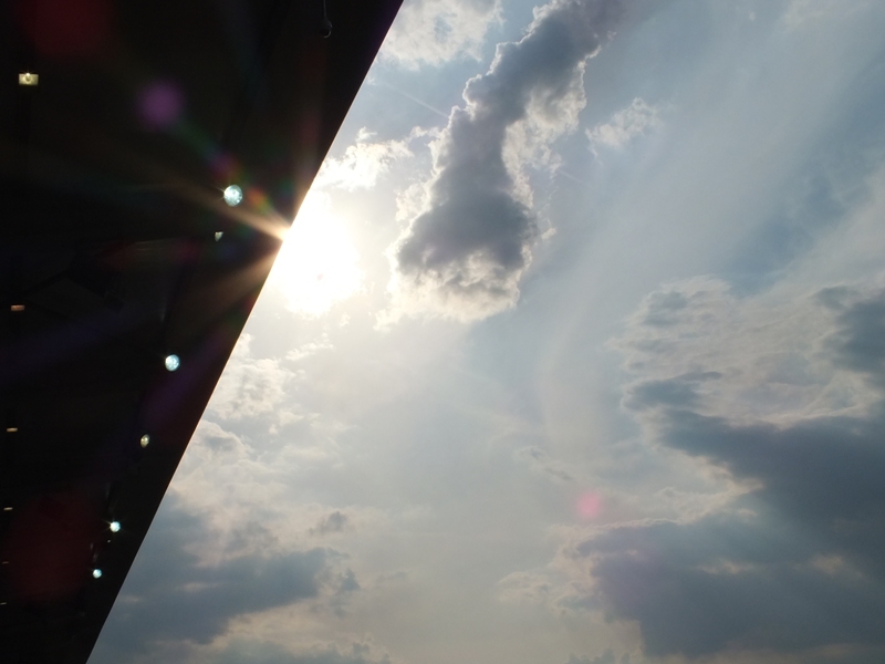 pauli04082013_139.jpg