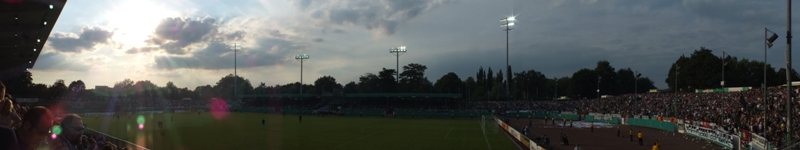 pauli04082013_219.jpg