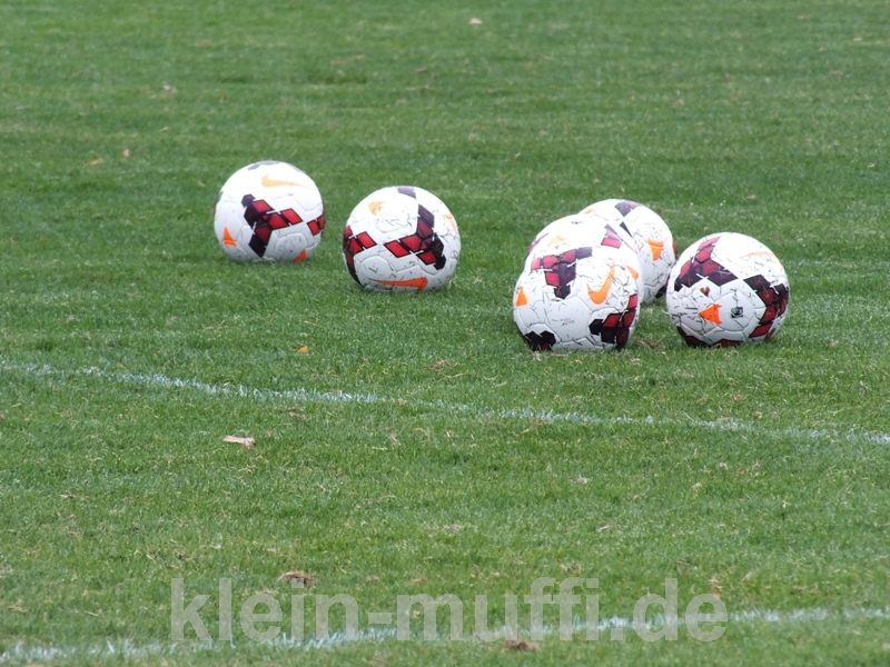 training03092013_040.jpg