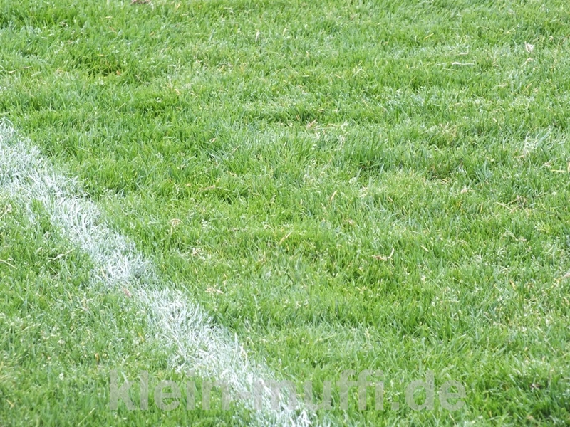 training03092013_094.jpg